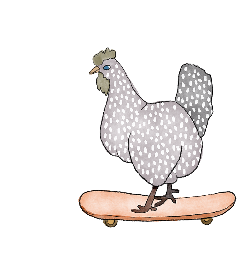 Rooster on the skate